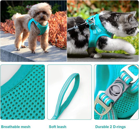 Cat Harness and Leash Set