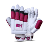 HS 2 Star Batting Gloves